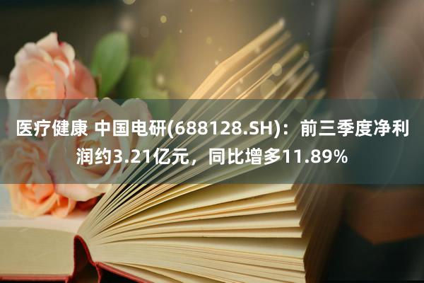 医疗健康 中国电研(688128.SH)：前三季度净利润约3.21亿元，同比增多11.89%