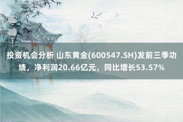 投资机会分析 山东黄金(600547.SH)发前三季功绩，净利润20.66亿元，同比增长53.57%