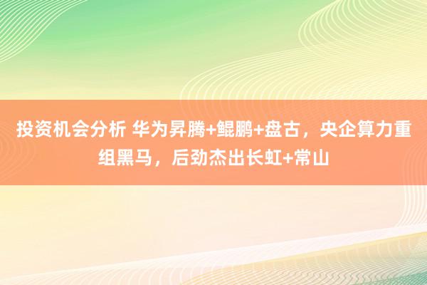 投资机会分析 华为昇腾+鲲鹏+盘古，央企算力重组黑马，后劲杰出长虹+常山