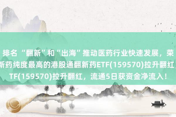 排名 “翻新”和“出海”推动医药行业快速发展，荣昌生物涨超14%，翻新药纯度最高的港股通翻新药ETF(159570)拉升翻红，流通5日获资金净流入！