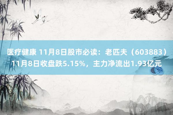 医疗健康 11月8日股市必读：老匹夫（603883）11月8日收盘跌5.15%，主力净流出1.93亿元