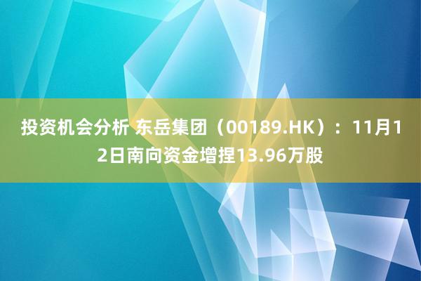 投资机会分析 东岳集团（00189.HK）：11月12日南向资金增捏13.96万股