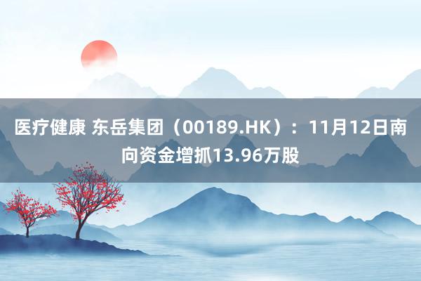 医疗健康 东岳集团（00189.HK）：11月12日南向资金增抓13.96万股