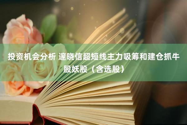 投资机会分析 邃晓信超短线主力吸筹和建仓抓牛股妖股（含选股）