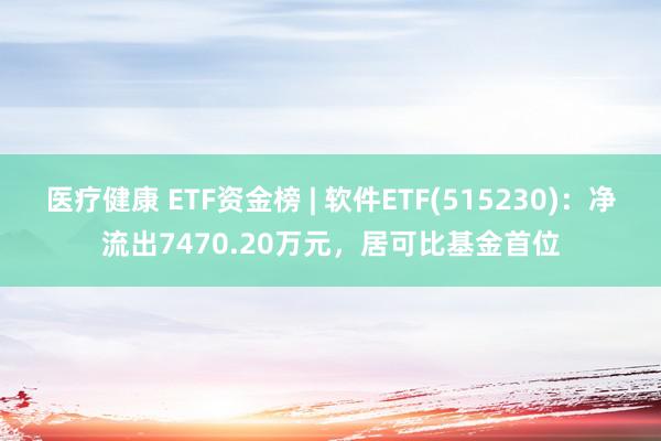 医疗健康 ETF资金榜 | 软件ETF(515230)：净流出7470.20万元，居可比基金首位