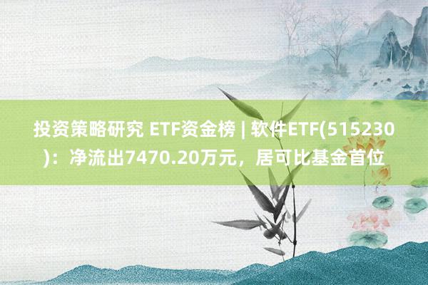 投资策略研究 ETF资金榜 | 软件ETF(515230)：净流出7470.20万元，居可比基金首位