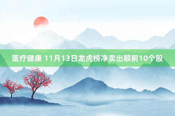 医疗健康 11月13日龙虎榜净卖出额前10个股