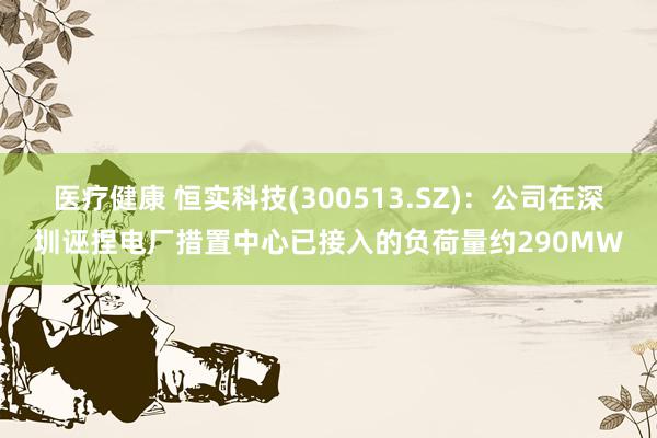 医疗健康 恒实科技(300513.SZ)：公司在深圳诬捏电厂措置中心已接入的负荷量约290MW