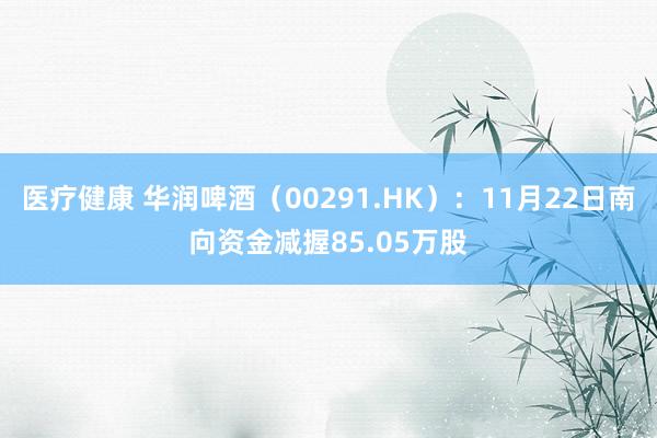 医疗健康 华润啤酒（00291.HK）：11月22日南向资金减握85.05万股