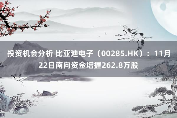 投资机会分析 比亚迪电子（00285.HK）：11月22日南向资金增握262.8万股