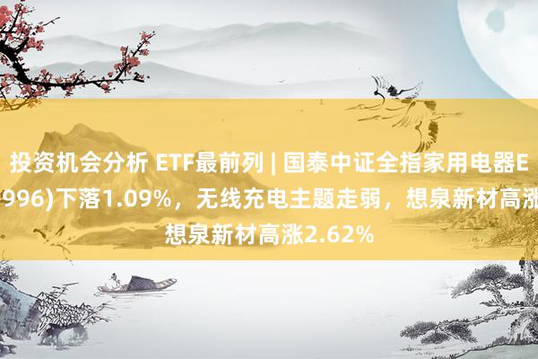 投资机会分析 ETF最前列 | 国泰中证全指家用电器ETF(159996)下落1.09%，无线充电主题走弱，想泉新材高涨2.62%