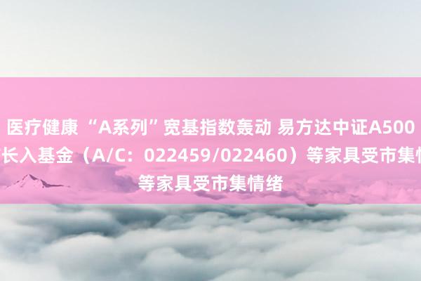 医疗健康 “A系列”宽基指数轰动 易方达中证A500ETF长入基金（A/C：022459/022460）等家具受市集情绪