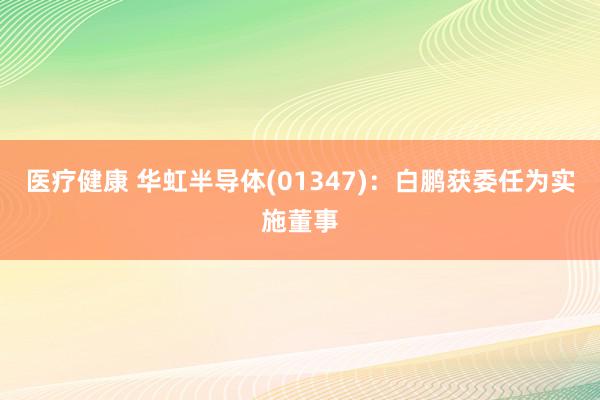 医疗健康 华虹半导体(01347)：白鹏获委任为实施董事