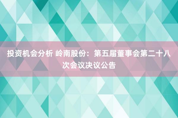 投资机会分析 岭南股份：第五届董事会第二十八次会议决议公告