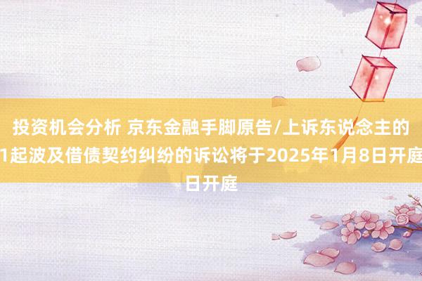 投资机会分析 京东金融手脚原告/上诉东说念主的1起波及借债契约纠纷的诉讼将于2025年1月8日开庭