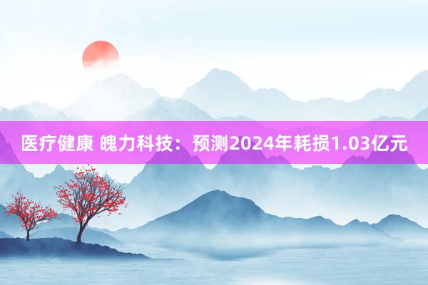 医疗健康 魄力科技：预测2024年耗损1.03亿元