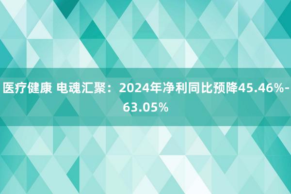 医疗健康 电魂汇聚：2024年净利同比预降45.46%-63.05%