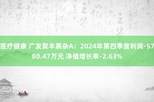 医疗健康 广发聚丰羼杂A：2024年第四季度利润-5780.47万元 净值增长率-2.63%