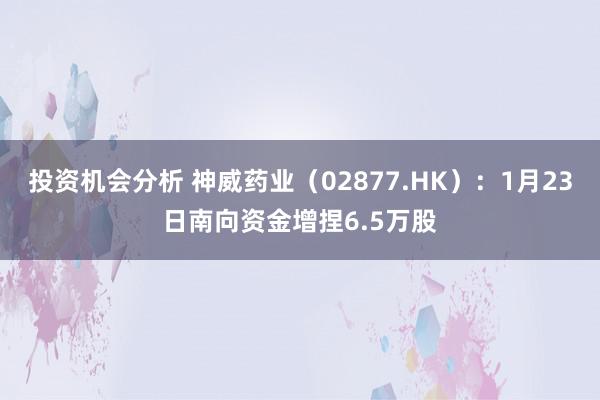 投资机会分析 神威药业（02877.HK）：1月23日南向资金增捏6.5万股