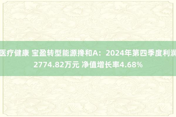 医疗健康 宝盈转型能源搀和A：2024年第四季度利润2774.82万元 净值增长率4.68%