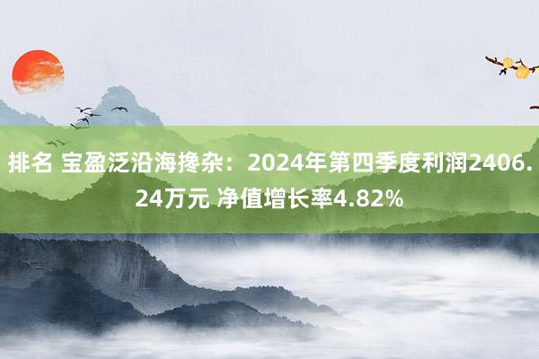 排名 宝盈泛沿海搀杂：2024年第四季度利润2406.24万元 净值增长率4.82%