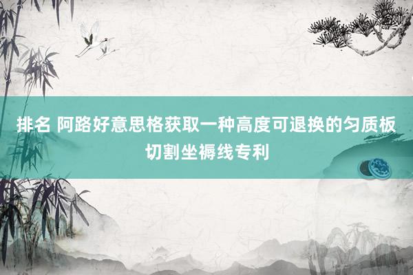 排名 阿路好意思格获取一种高度可退换的匀质板切割坐褥线专利