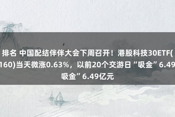 排名 中国配结伴伴大会下周召开！港股科技30ETF(513160)当天微涨0.63%，以前20个交游日“吸金”6.49亿元