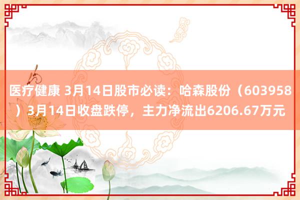 医疗健康 3月14日股市必读：哈森股份（603958）3月14日收盘跌停，主力净流出6206.67万元